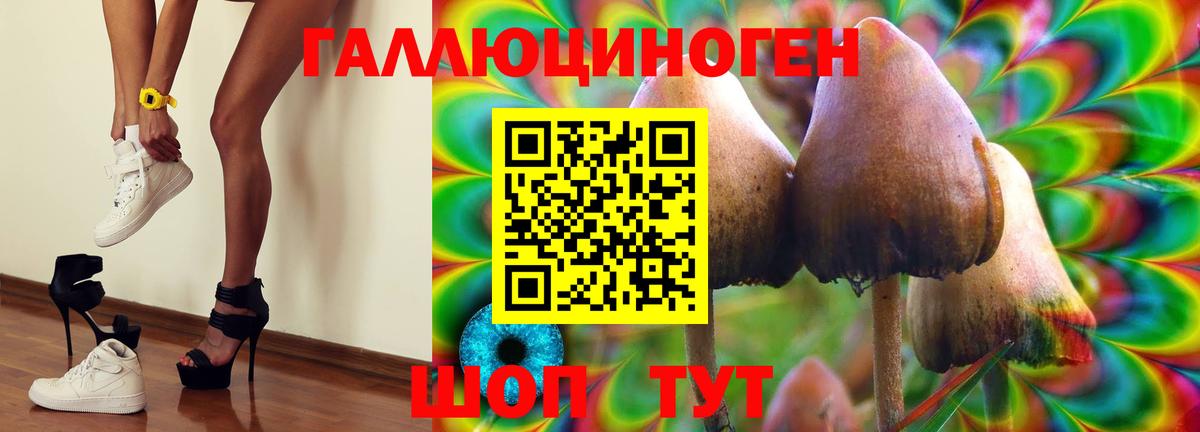 Псилоцибиновые грибы GOLDEN TEACHER Новозыбков