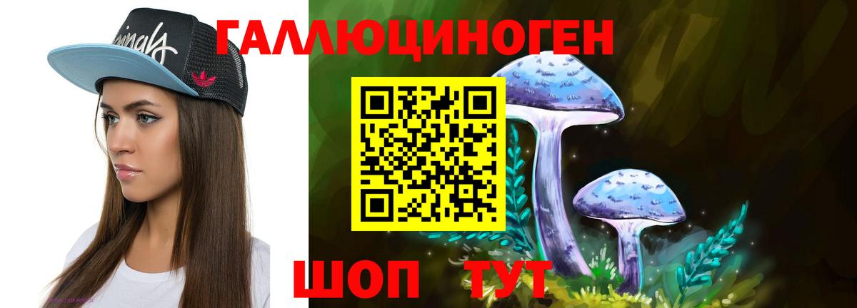 Галлюциногенные грибы GOLDEN TEACHER  Вход с VPN  Новозыбков 